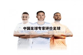 中国足球专家评价足球