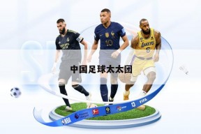 中国足球太太团